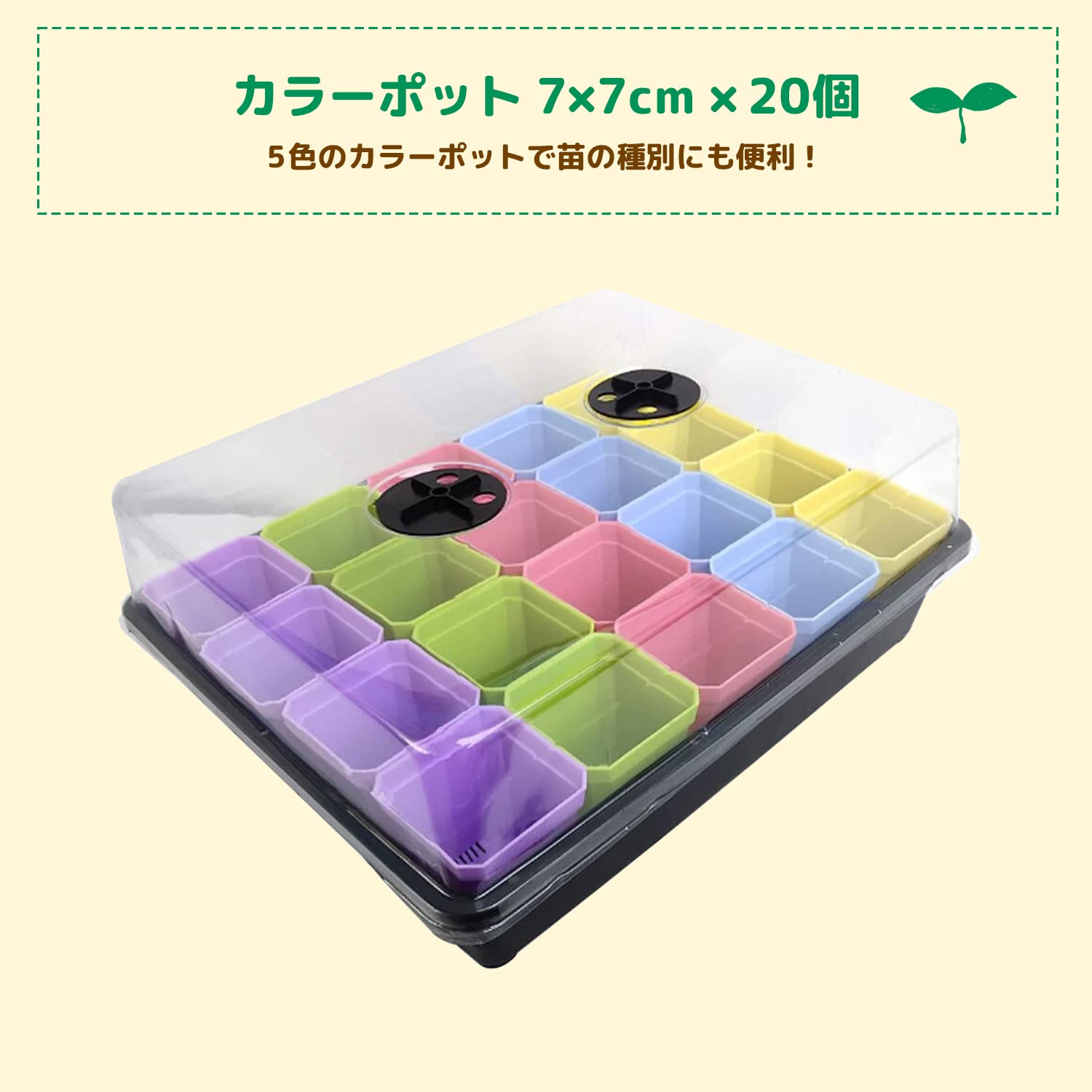 綾*鷹様 2025実生苗セットc 4センチポット マルチポット 40穴 7.5cm 縦4列×横5列 育苗ポット／連結ポット